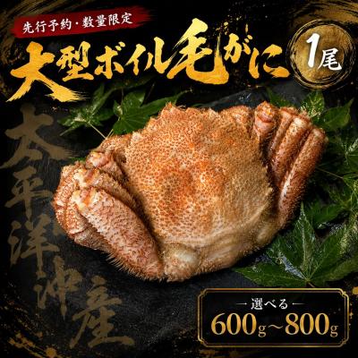 ふるさと納税 広尾町 【先行予約・数量限定】大型ボイル毛ガニ【700g】1尾(茹で冷凍)(0145)