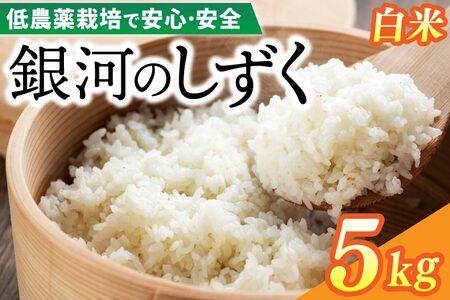 令和7年産 銀河のしずく 5kg (精米) 低農薬栽培米 生産者直送 生産地域限定ブランド米 (EI012)