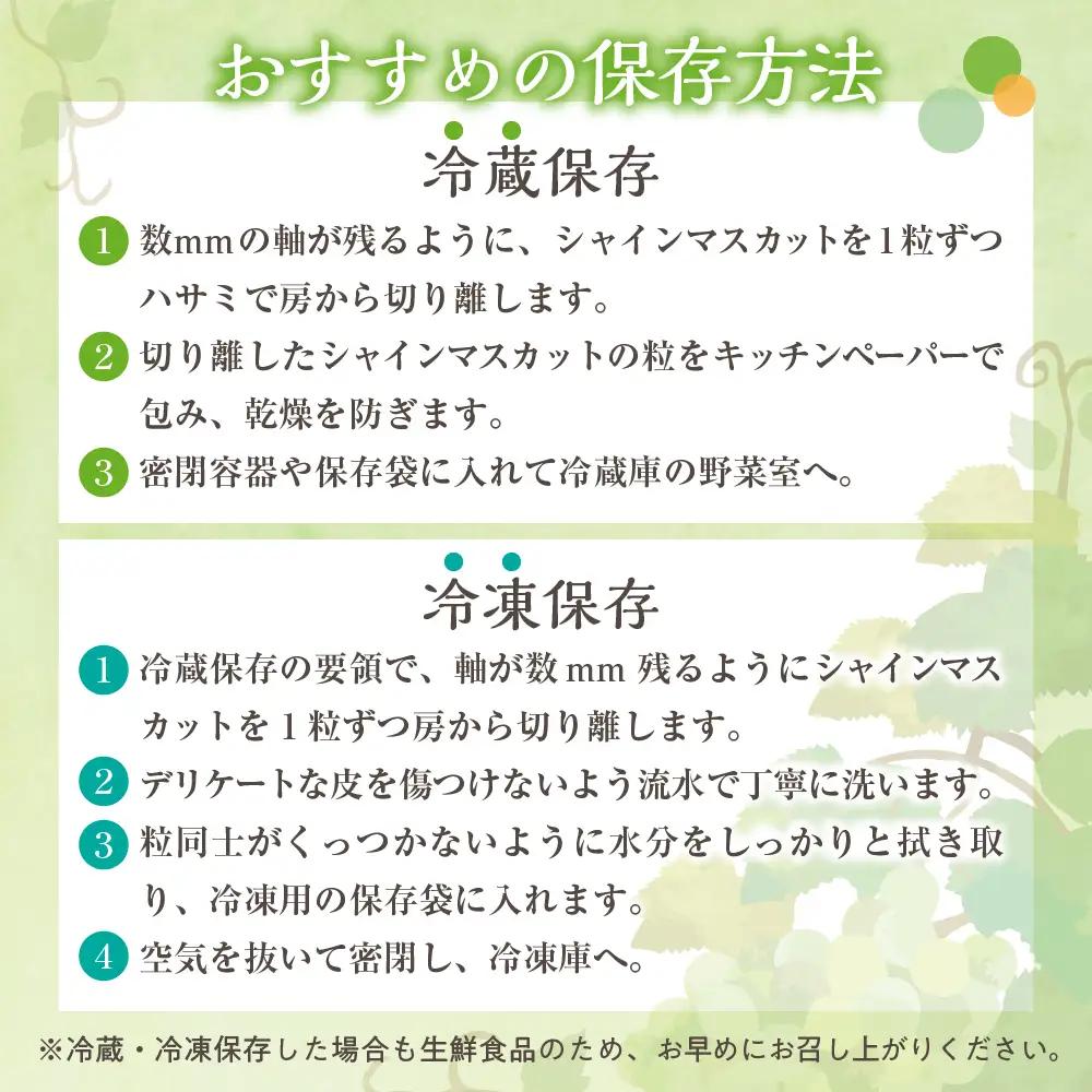 【2026年11月上旬発送】 シャインマスカット 大房 800g 青森産