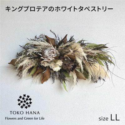 ふるさと納税 糸島市 キングプロテアのホワイトタペストリー(LLサイズ)糸島市/tokohana [AOC043]