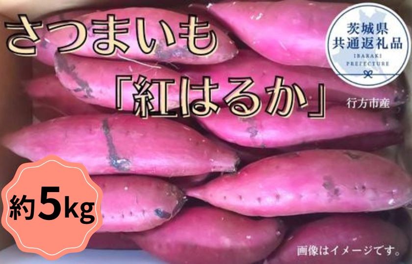 
            【2025年産】さつまいも「紅はるか」約5kg（茨城県共通返礼品／行方市産）
          