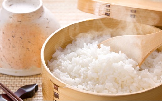 
岐阜県揖斐郡産 味のいび米 はつしも 精米10kg [№5644-0569]
