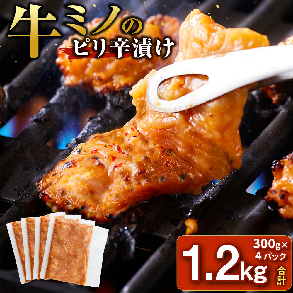 牛ミノ ピリ辛漬け 1.2kg ( 300g × 4パック ) 小分け 個包装 便利 牛肉 ホルモン ミノ 焼肉 焼き肉 お肉 肉 焼くだけ 冷凍 たれ 味付き BBQ アウトドア キャンプ 人気 おすすめ 神奈川 川崎【順次発送】【kw0096-0923】