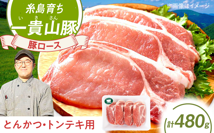 一貴山豚 ロースとんかつ・トンテキ用 計480g(120g×4枚) 糸島市 / いきさん牧場 豚肉 [AGB030] 豚肉 豚 ブランド豚 一貴山豚 ポーク ロース 生姜炒め ポークジンジャー