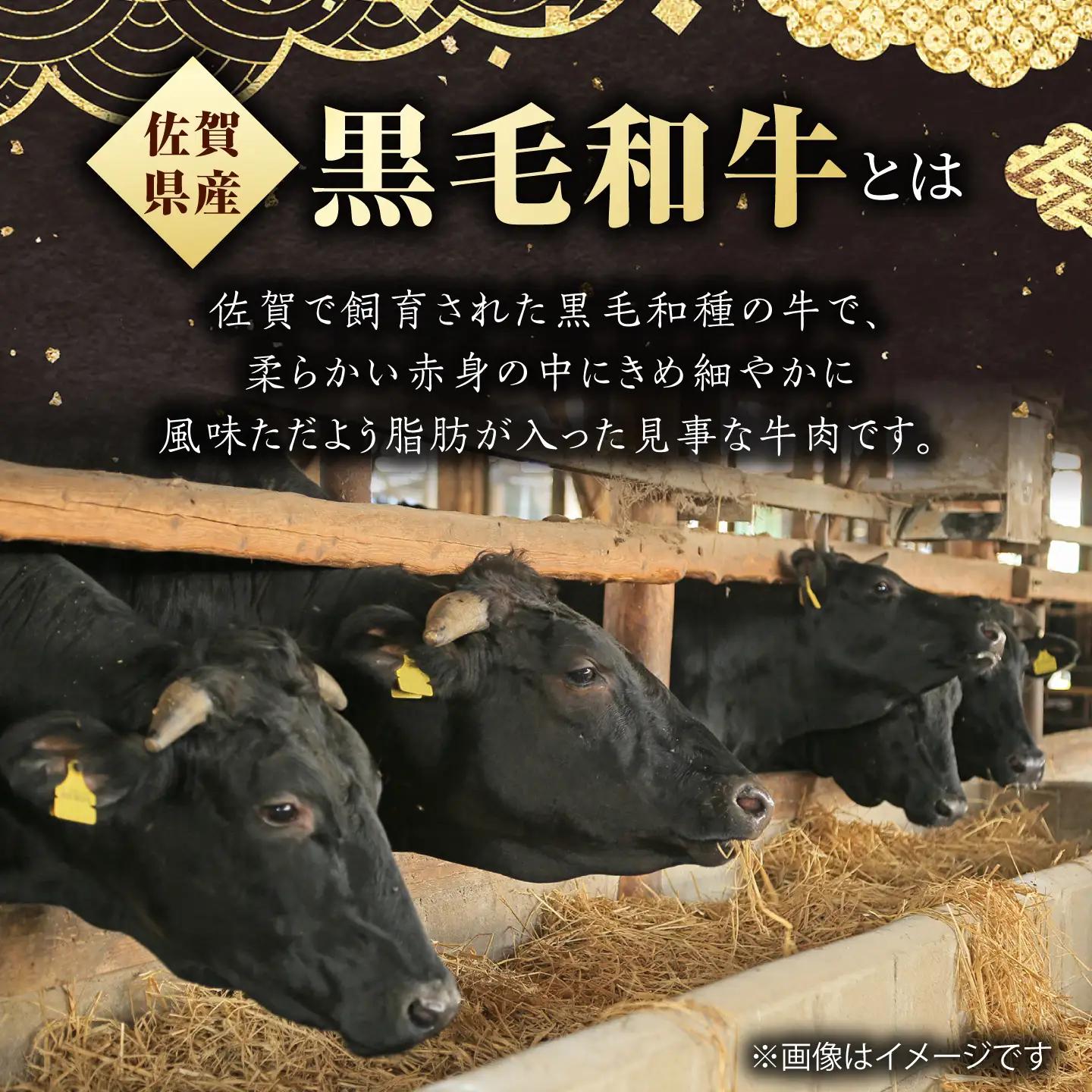 佐賀県産黒毛和牛 ヒレステーキ 300g（約150g×2枚）【いろは精肉店】[IAG251]
