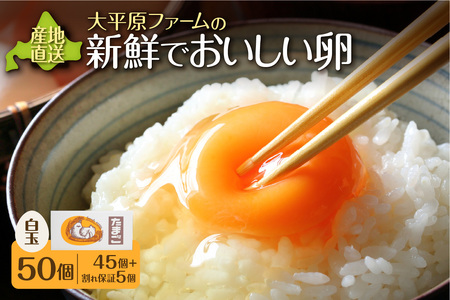 大平原ファームの新鮮でおいしい卵 50個【 北海道 清水 卵 50個 こだわり卵 卵かけご飯 玉子 タマゴ 卵焼き TKG 温泉卵 オムレツ ゆでたまご 栄養満点  国産  】_S035-0002