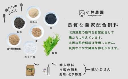 【全2回定期便】親鶏のスパイスカレー 5個（辛口）《厚真町》【テンアール株式会社】 カレー スパイスカレー 辛口 鶏 鶏肉 平飼い 冷凍配送 北海道[AXAN085]