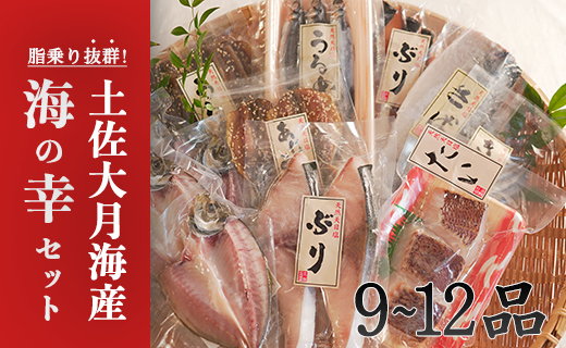 土佐大月海産　海の幸セット　9～12品