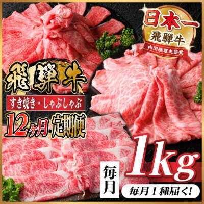 【ふるさと納税】【毎月定期便】レビューキャンペーン実施中!飛騨牛　厳選すき焼き・しゃぶしゃぶ用　定期便1kg全12回【配送不可地域：離島】【4072498】