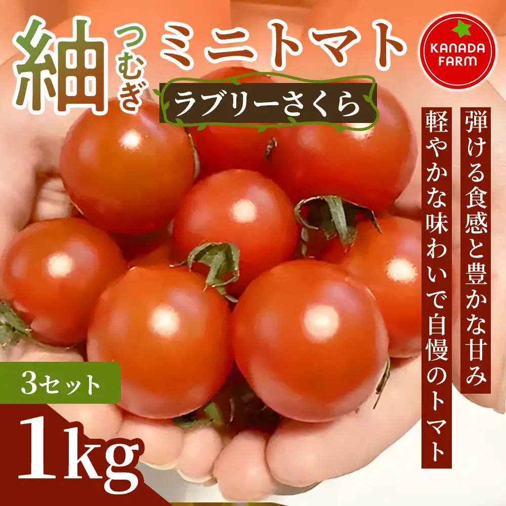 《先行予約》紬（つむぎ）ミニトマト（ラブリーさくら）　1kg 3セット 新鮮野菜 フルーツ 旬 サラダ デザート お弁当 朝食 料理用 そのまま食べる おうちごはん お取り寄せ 弾ける食感と豊かな甘み 産地直送 贈り物 手土産 愛知県 豊橋市
