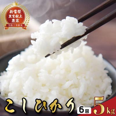 ふるさと納税 安芸市 【毎月定期便】6ヵ月連続でお届け!「コシヒカリ」定期便5kg全6回