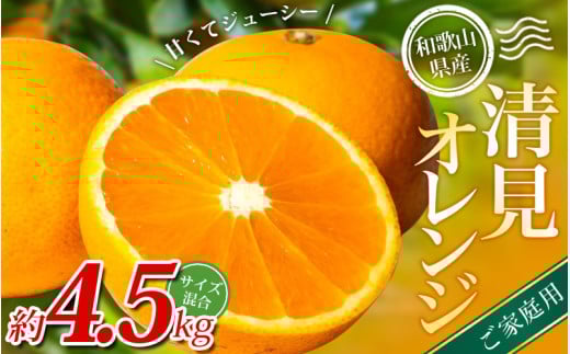 【家庭用】 森本農園の手選別 清見オレンジ 約4.5kg 和歌山県産 サイズ混合 ※2026年2月上旬～5月中旬頃順次発送 / きよみ 清見 柑橘 ご家庭用 期間限定 由良町 果物 フルーツ 和歌山県【mrmt022A】