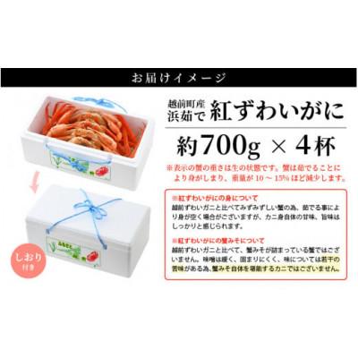 ふるさと納税 越前町 【訳あり】≪浜茹で≫越前産 紅ずわいがに 約700g × 4杯 食べ方しおり付【4月発送分】 |  | 03