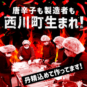 FYN9-528 山形県 西川町産 唐辛子使用！ 月山なんばこ 3種3本セット(激辛・一味・青唐辛子) 調味料 食品 香辛料 スパイス 唐辛子 とうがらし 辛い 手作り 命がけ 山形県 西川町 月山