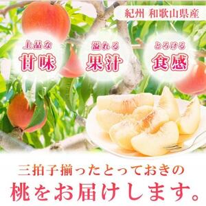 紀州和歌山産の桃　約4kg　化粧箱入【日高町】【配送不可地域：離島】【1217234】