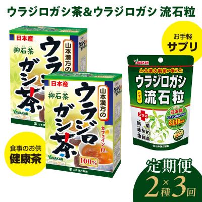 ふるさと納税 小牧市 【3ヶ月連続定期便】ウラジロガシ茶&amp;ウラジロガシ 流石粒　[027Y32-T]