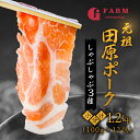 【ふるさと納税】 小分けが高評価☆4.8 Gファーム 豚肉 3種 1.2kg （100gずつ 小分け ） しゃぶしゃぶ用 ロース 肩ロース バラ　豚 肉 しゃぶしゃぶ ブランド豚 冷凍 田原ポーク 個包装 スライス 薄切り 豚しゃぶ ギフト 定期便