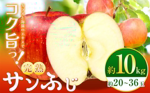 【完熟サンふじ10kg】鰹と海藻のエキスでコク！旨っ！全面真っ赤々！完熟サンふじ【先行予約】 ｜ サンふじ 林檎 りんご 長野県 松本市 さんふじ 果物 フルーツ 信州産 ふるさと納税