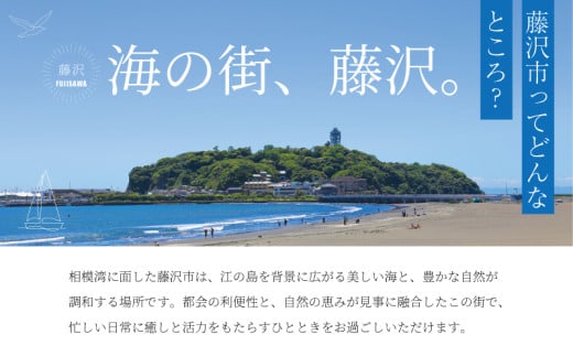 ハム  ソーセージ 5種 詰め合わせ 合計960g セット 肉 お肉 国産 豚肉 ウインナー フランクフルト サラミ コンビーフ レバーパテ 加工肉セット はむ そーせーじ ればー フランク 江の島 