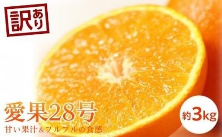 ＜訳あり＞愛果28号 約3kg | 愛媛県 松山市 みかん みかん みかん みかん 【KK0612】
