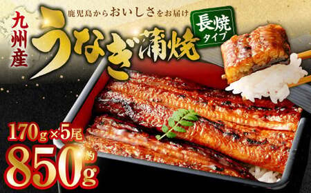 九州産 無頭うなぎ蒲焼 約170g×5尾 計850g 国産 うなぎ 蒲焼 鹿児島県 薩摩川内市_ss2443_CR
