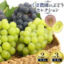 【ふるさと納税】くぼ農園 の ぶどう セレクション 約 2kg ( 3～4房 ) または 約 3kg ( 4～5房 ) くぼ農園 《2025年9月上旬-11月下旬頃出荷》マスカット 送料無料 岡山県 浅口市 マスカット フルーツ 果物 贈り物　シャインマスカット ニューピオーネ 瀬戸ジャイアンツ