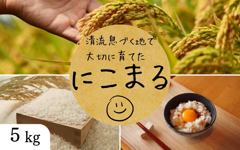 
            秘境の地からお届けする あゆみファームのお米 にこまる 5kg 令和７年産【10月下旬頃から順次発送】/ 米 お米 にこまる 5kg 精米 和歌山【aym013】
          