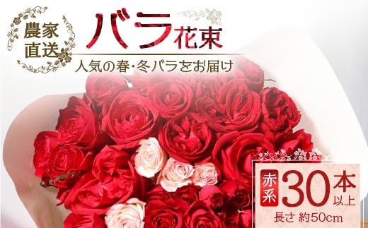 
            【人気の春・冬ばらをお届け】ばら農家直送！ばら花束30本以上お届け(赤系) 【ギフト対応可】│花 フラワー 花束 ばら 薔薇 バラ 誕生日 記念日 結婚祝い ギフト プレゼント お祝い 贈り物 贈答 鹿児島県 南大隅町 富田バラ園 TB-13
          
