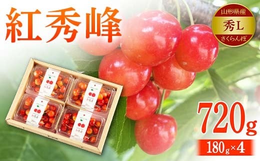 
            【令和8年先行予約】山形県産 さくらんぼ 紅秀峰 秀L 180g×4 FSY-2148
          