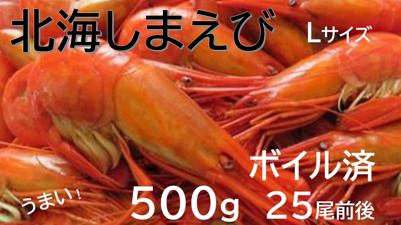 
            北海縞海老 シマエビ 北海縞えび  国産 500g 25尾 Lサイズ しまえび 冷凍 えび エビ ボイル済み
          