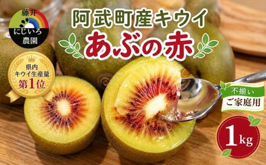 【先行予約】【家庭用】キウイ あぶの赤 1㎏ 山口県 阿武町産 数量限定 国産 果物 赤いキウイ《2026年10月下旬～発送予定》