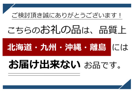 桃 あかつき 糖度13度以上 約3kg 9～10個入 【2026年7月中旬～発送】