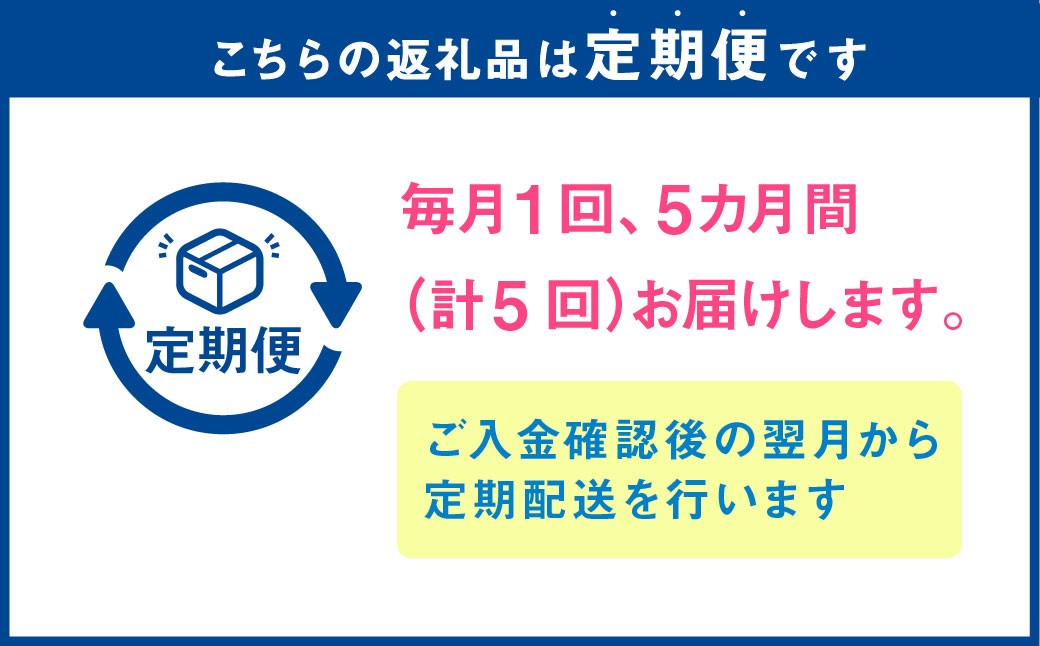 【5か月連続定期便】『まるでフルーツのような特選ミニトマト』 約3kg×5回 合計約15kg
