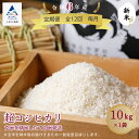 【ふるさと納税】《 定期便 》 超コシヒカリ 玄米を精米したて白米発送 10kg× 12回 ( 毎月 ) 米 お米 おこめ 新米 令和6年度産 こしひかり 定期産 10kg 精米 人気 ランキング おすすめ お中元 ギフト 小松市 こまつ 石川県 ふるさと 故郷 納税 260002【のむら農産】