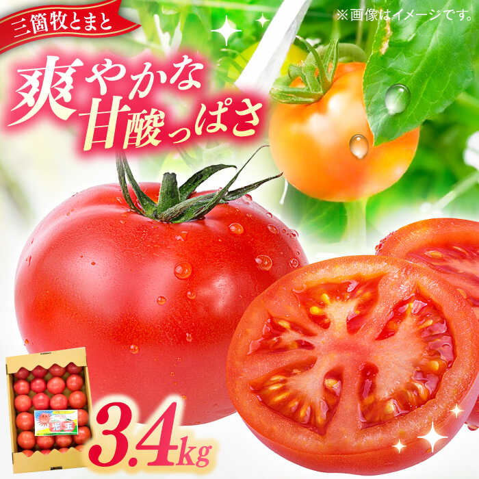 【ふるさと納税】三箇牧とまと（高槻産）約3.4kg（20〜28玉入り）野菜 トマト 新鮮 三箇牧とまと 野菜不足 限定 大容量 大阪府高槻市/株式会社ミートモリタ屋[AOAI015]