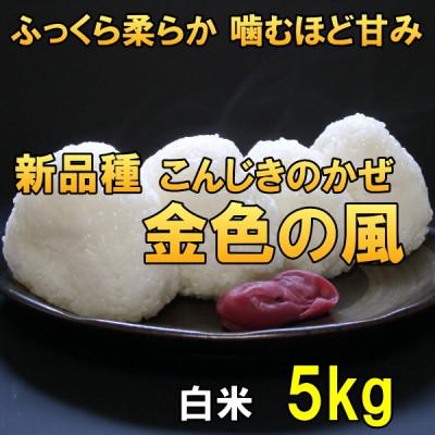 ふるさと納税 奥州市  金色の風(こんじきのかぜ)白米 5kg 岩手県奥州市 令和7年産米 5キロ[AC027]