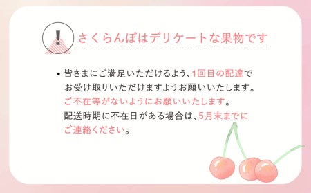 先行予約 さくらんぼ 紅秀峰 秀2Lサイズ 700g (350gx2パック) バラ詰め 化粧箱 令和8年産 ns-bss2b700