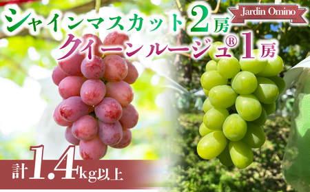 【先行受付2026年発送】シャインマスカット＆クイーンルージュ(R) プレミアム 3房 1.4kg以上｜Jardin Omino　※2026年9月上旬~10月中旬に発送予定