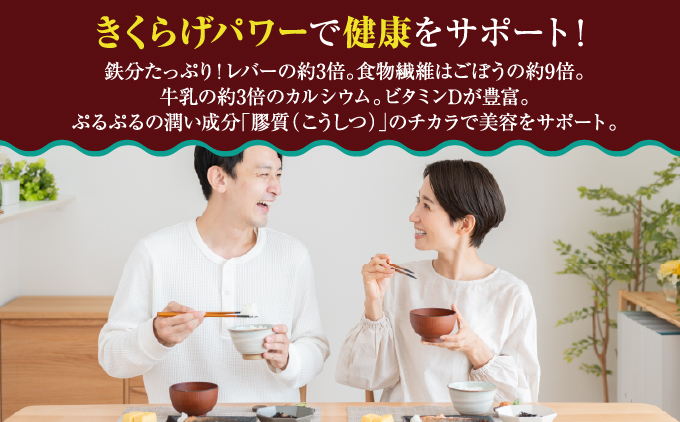 生きくらげ1.25kg (250g5袋) | 就労継続支援B型事業所パピルス | 国産 肉厚 ぷるぷる 産地直送 採れたて 新鮮 | 健康 美容 鉄分 食物繊維 ビタミンD グルメ | 沖縄県 宜野湾
