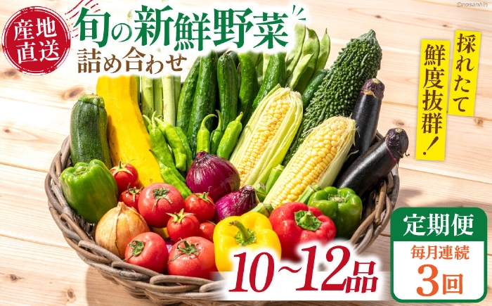 
                  野菜定期便【3回定期便】毎月連続お届け 旬の新鮮 野菜詰め合わせセット（10品～12品） / 詰め合わせ 詰合せ 旬 セット 定期便 野菜 野菜セット 新鮮 野菜詰め合わせ 旬野菜 やさいセット やさい 旬 野菜定期便 春野菜 夏野菜 秋野菜 国産 新鮮野菜 季節の野菜 サラダ スープ 炒め物 お任せ / 南島原市 /長崎県農産品流通合同会社 [SCB099]
                