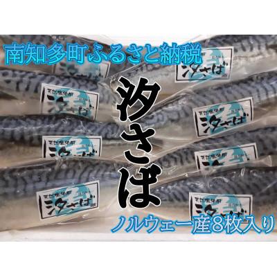 ふるさと納税 南知多町 甘汐さばフィレ真空包装　約125g×8枚入り