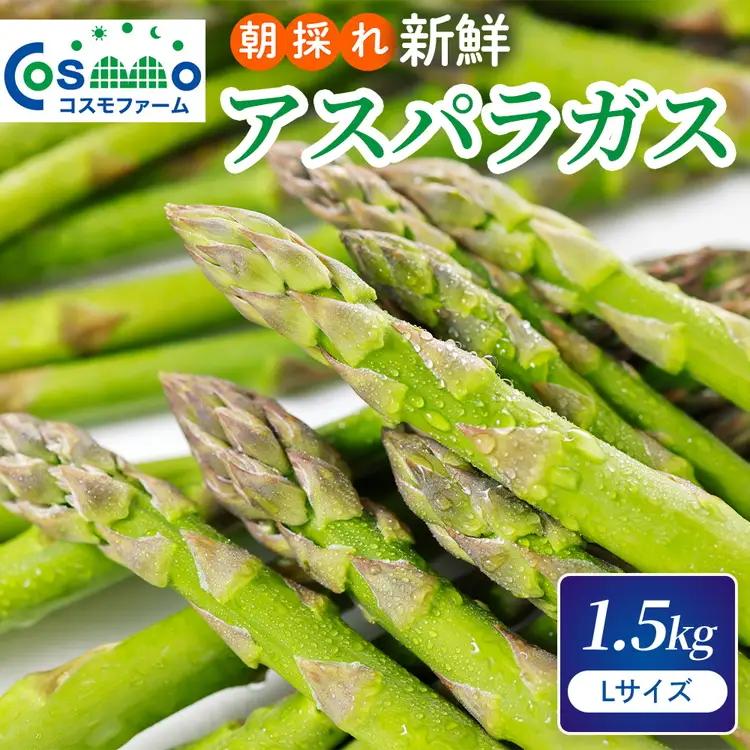 朝採り新鮮アスパラガス 1.5kg【Lサイズ】 | アスパラガス