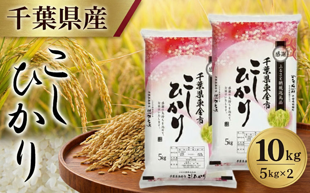 令和7年産 千葉県産コシヒカリ5kg×2袋