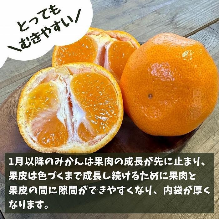 みかん Lサイズ 秀品 箱込 10kg (内容量約 9.2kg) 有田みかん 和歌山県産 産地直送 贈答用 ［2025年11月中旬より2026年1月中旬頃順次出荷予定］［みかんの会］ 	AX198