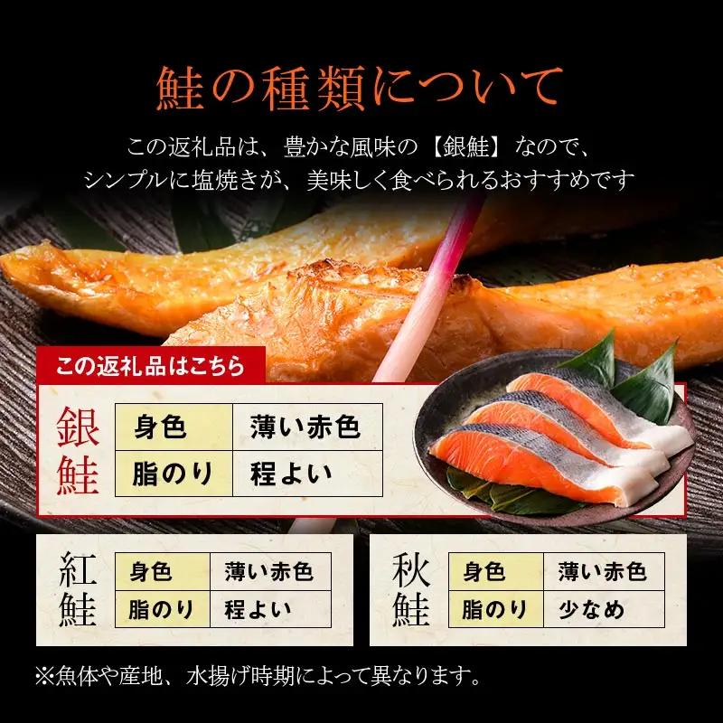 【 7日程度で発送 】 厚切り 天然甘塩銀鮭 切身 3切れ × 3パック 計9切れ 鮭 魚 魚類 魚介 魚介類 海鮮 BIGサイズ 真空パック おかず お惣菜 おつまみ 酒の肴 朝食 お弁当 冷凍