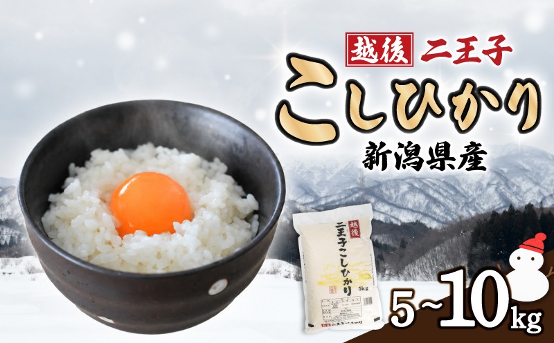 
                  【先行予約】 米 新潟 こしひかり 5kg 10kg （5kg×2袋） 令和8年産 越後二王子 こしひかり コシヒカリ 米 精米 白米 コシヒカリ ご飯 おにぎり 新潟県産 コシヒカリ お米 こめ うまい米 コシヒカリ 玄米 こだわり こしひかり 農家 米 新潟 越後 川東 コシヒカリ 農事組合法人二王子 新潟県 新発田市 新発田 ninoji003P
                