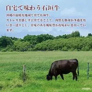石垣牛ローススライス 計400g(約200g×2P) すき焼き・しゃぶしゃぶ用 (AG029)