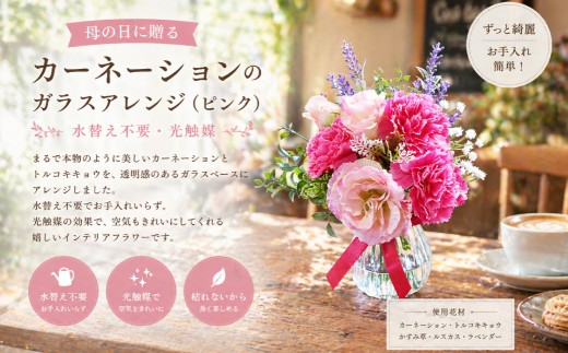 母の日に贈るカーネーションのガラスアレンジピンク（水替え不要光触媒）