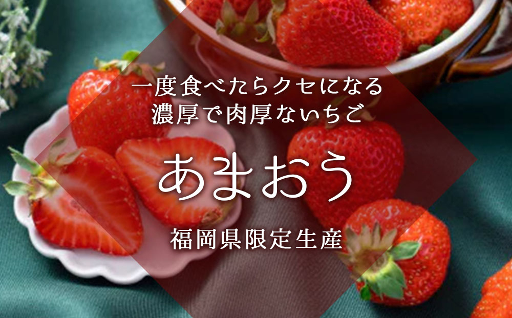 【先行予約】フルーツソムリエが選んだ【冬】あまおう5パック(篠栗町)【NF011】