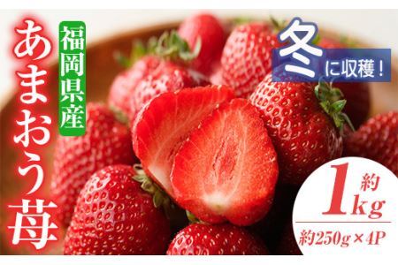 ＜先行予約受付中！2026年12月上旬〜2027年1月下旬に順次発送予定＞あまおう苺・冬(4P)いちご 苺 フルーツ 果物 くだもの 福岡限定 家庭用 冷蔵＜離島配送不可＞【ksg0031】【南国フルーツ】